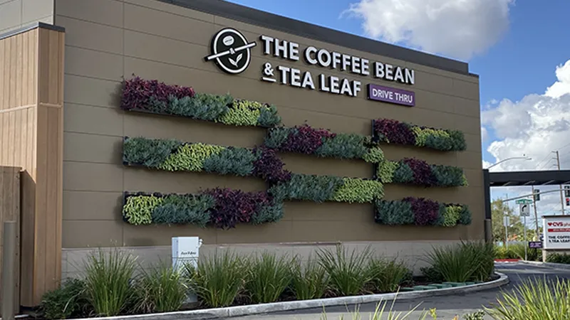 Living Wall at Coffee Bean and Tea Leaf