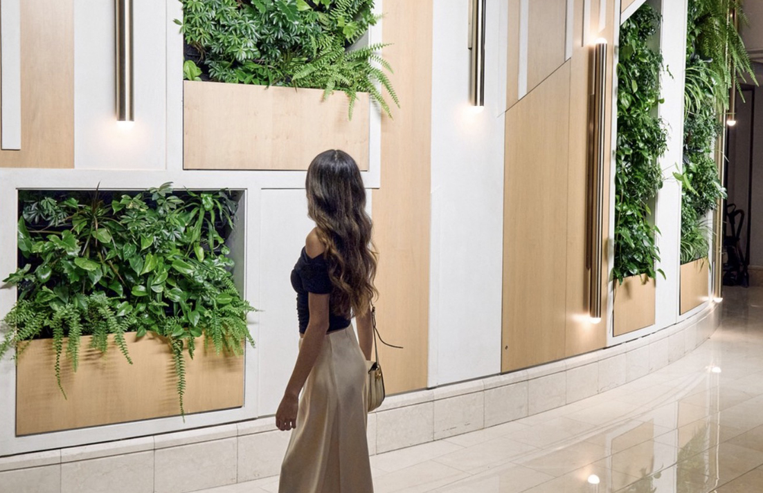 Fixing a Failed Living Wall | Portola Hotel Case Study