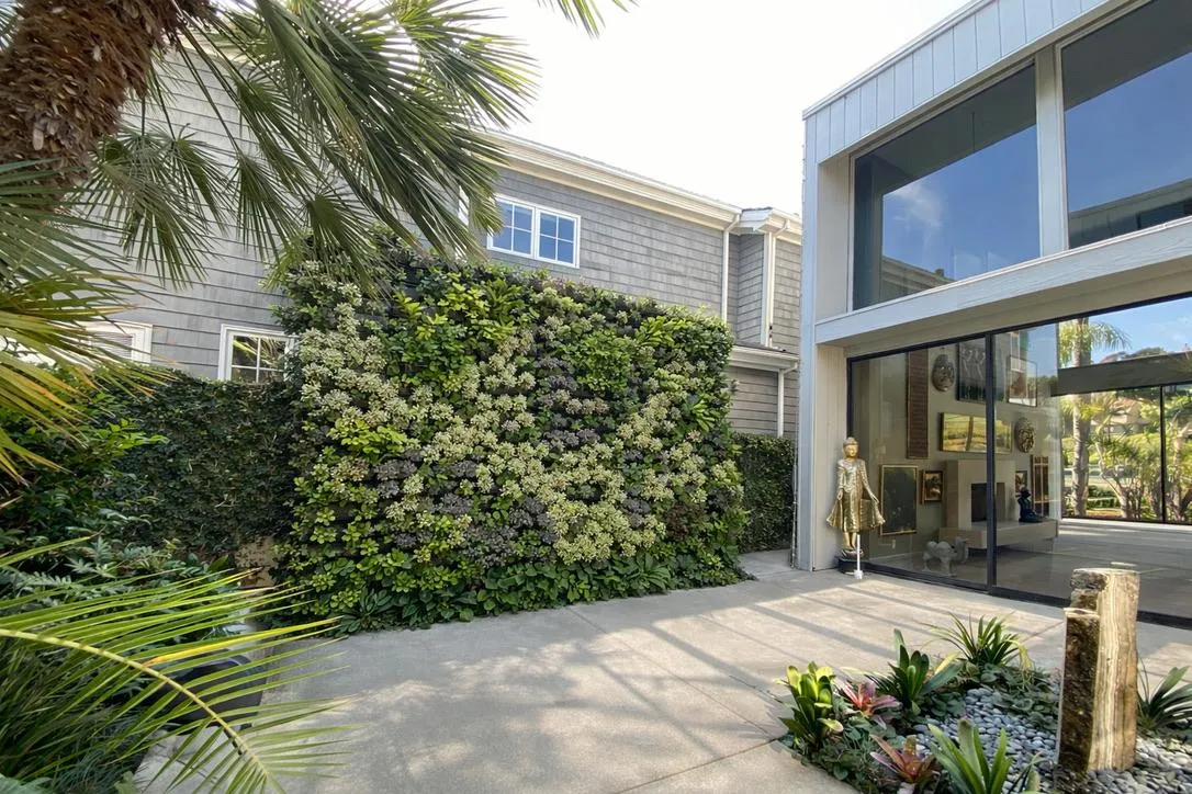 Outdoor living wall designed for a Southern California courtyard environment by Elevation Living Walls