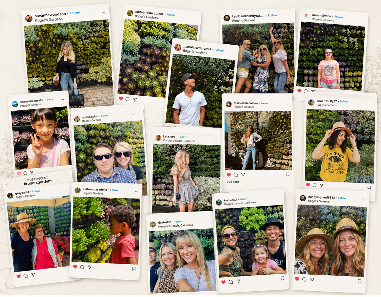 Editorial collage of social media posts showing visitors photographing themselves in front of a custom living wall, illustrating how biophilic design creates memorable hospitality and commercial experiences.