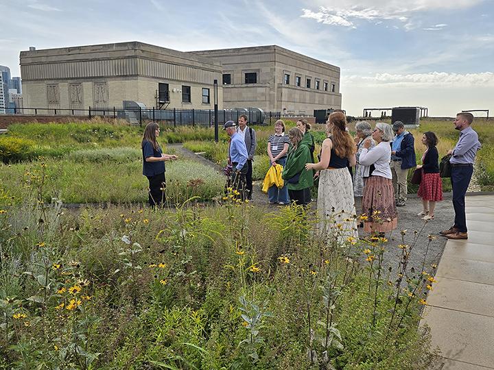 Living Walls as Urban Green Infrastructure: From Idea to Build