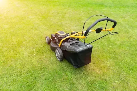 Lawn mowing equipment on freshly cut grass by Apple Valley Lawn & Snow.