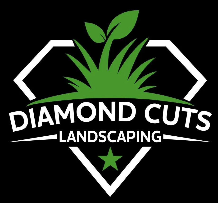 San Antonio Landscaping Lawn Care