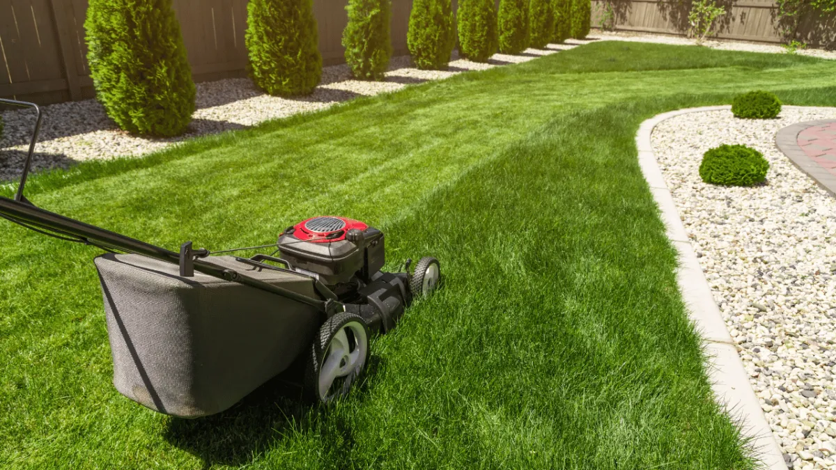 San Antonio Landscaping Lawn Care