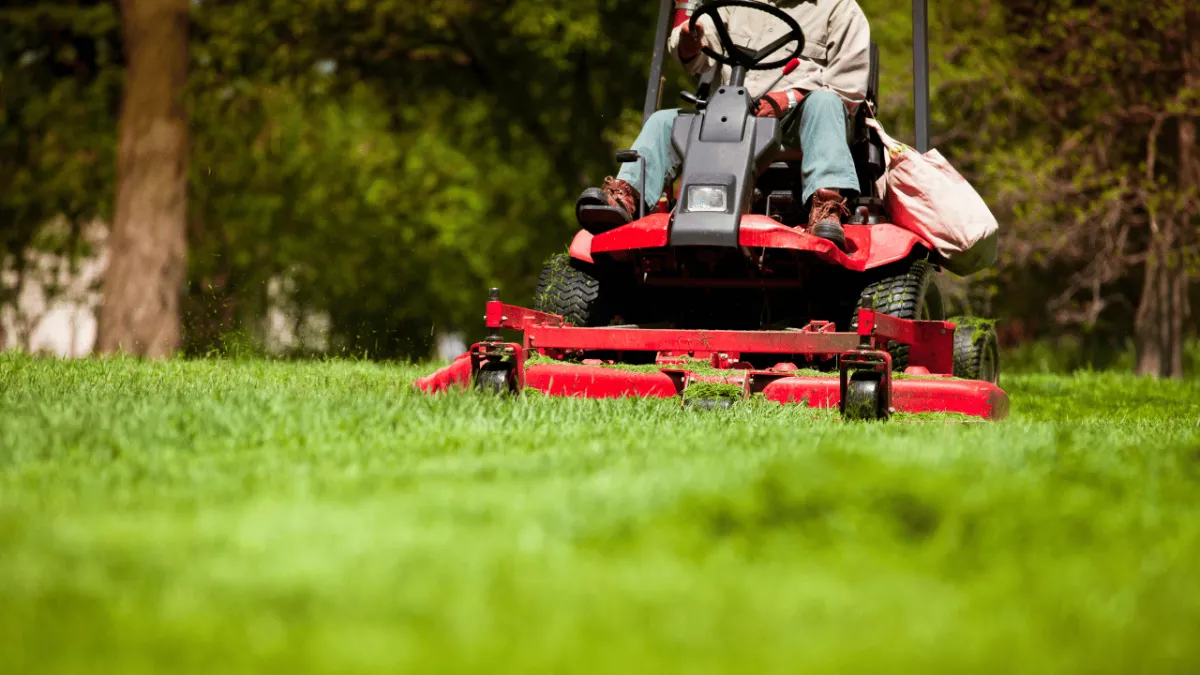 San Antonio Landscaping Lawn Care