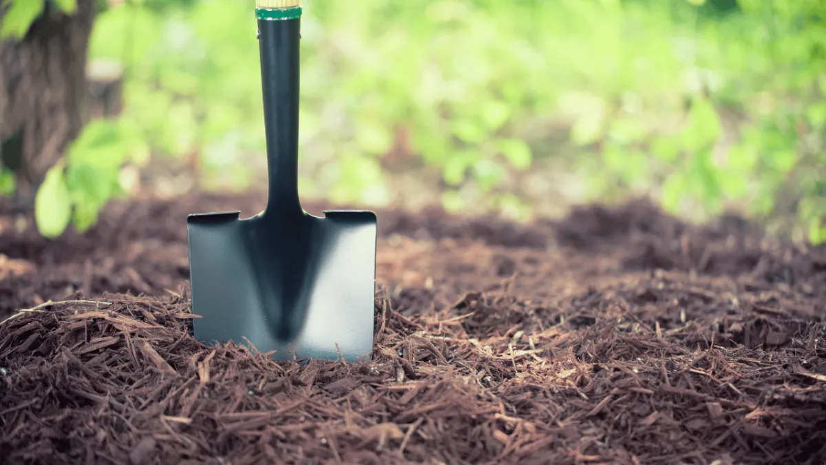 San Antonio Mulch Landscape