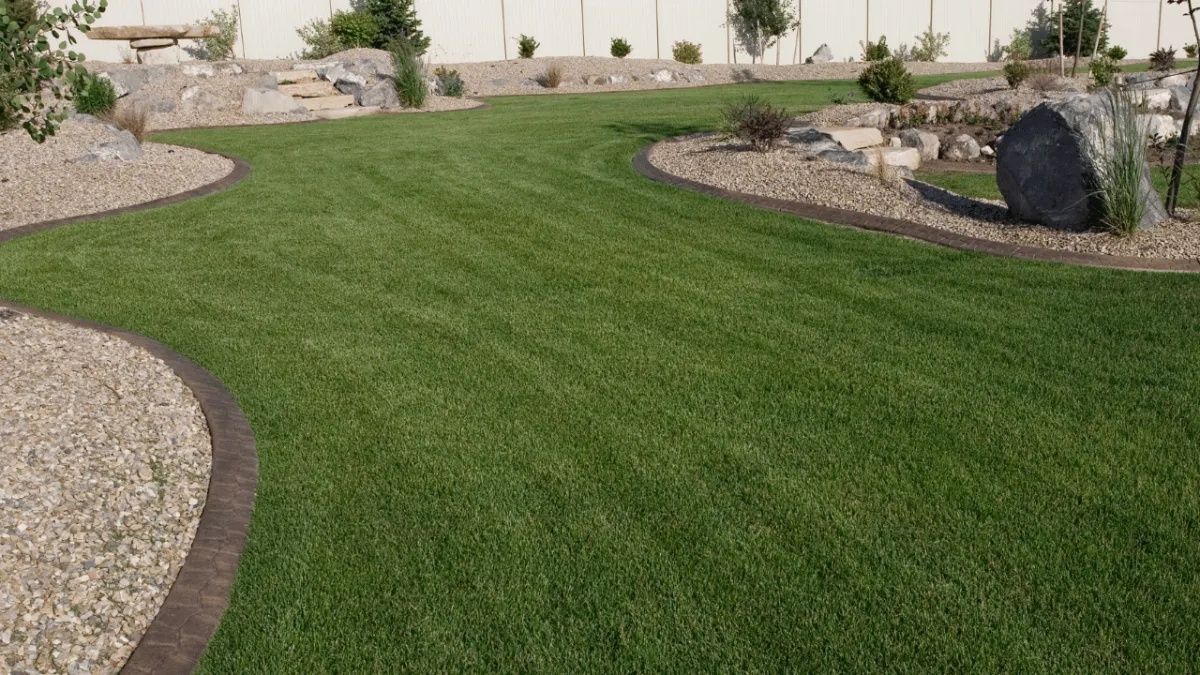 San Antonio Sod Installation