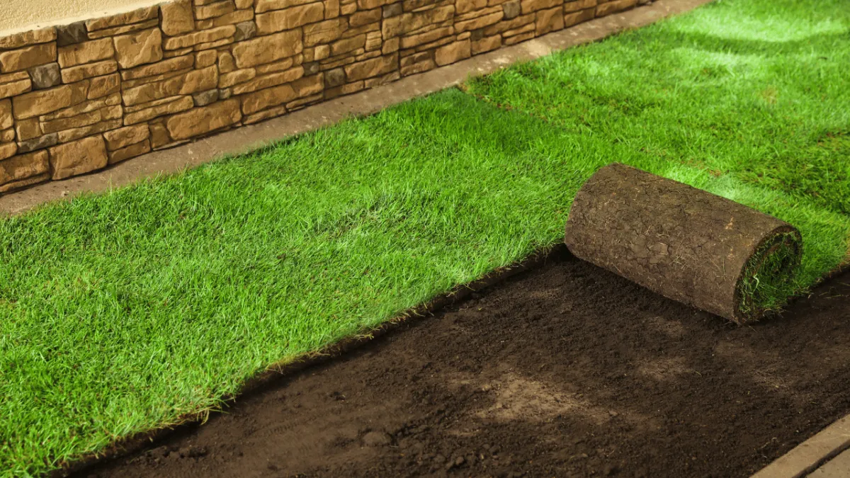 San Antonio Landscaping Lawn Care