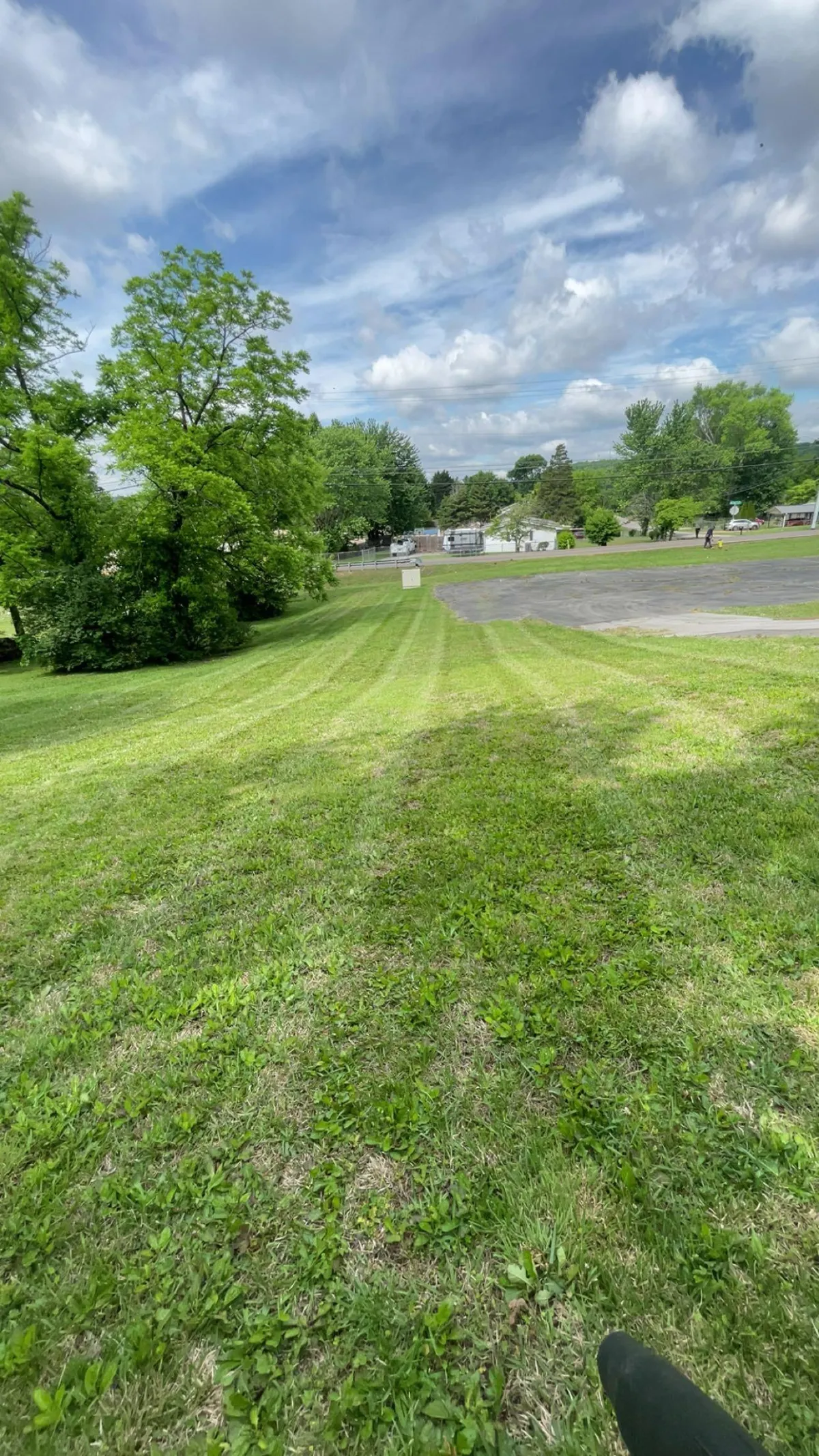 A shot of freshly mowed grass