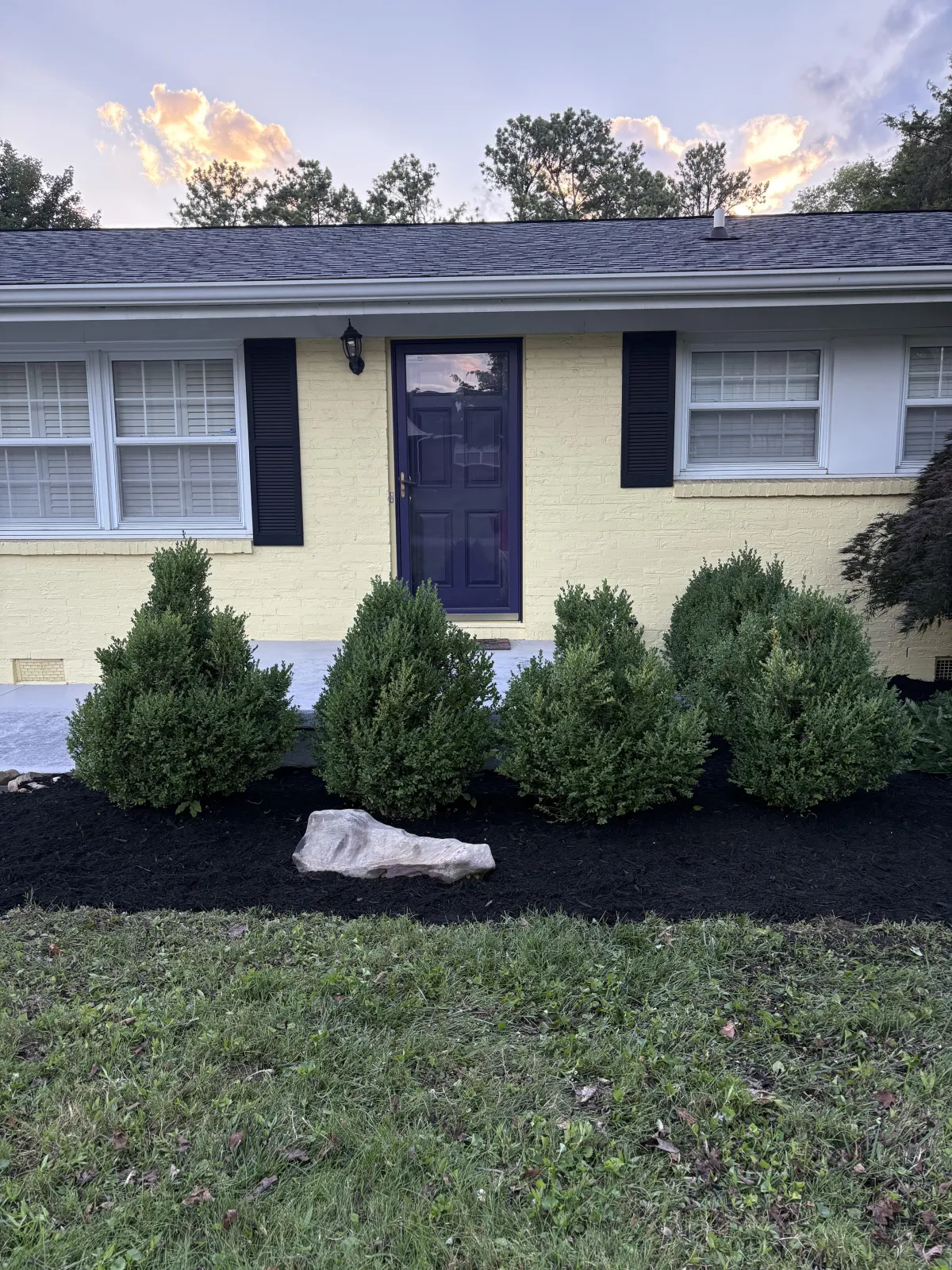 A shot of freshly mowed grass