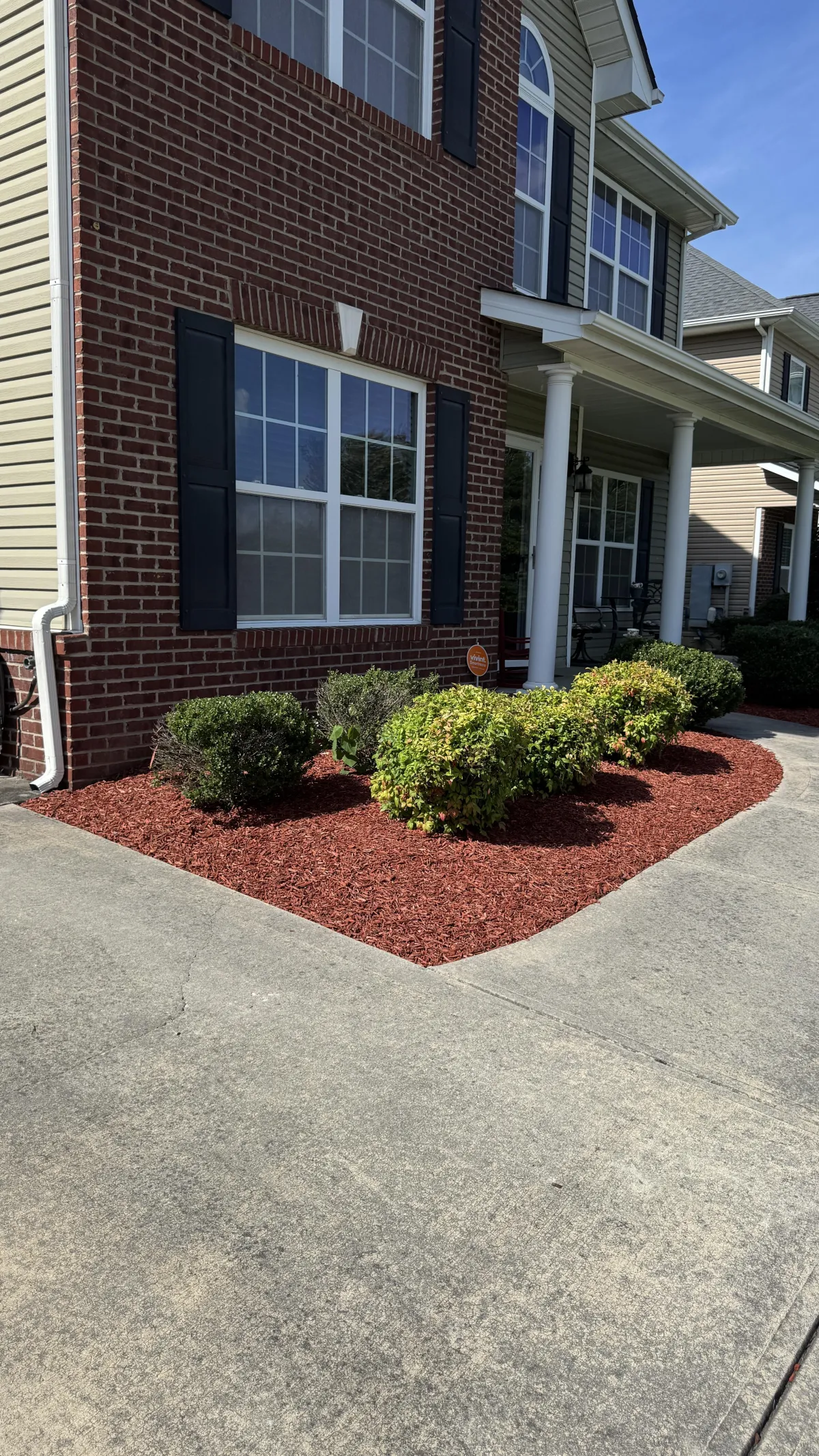 A shot of freshly mowed grass
