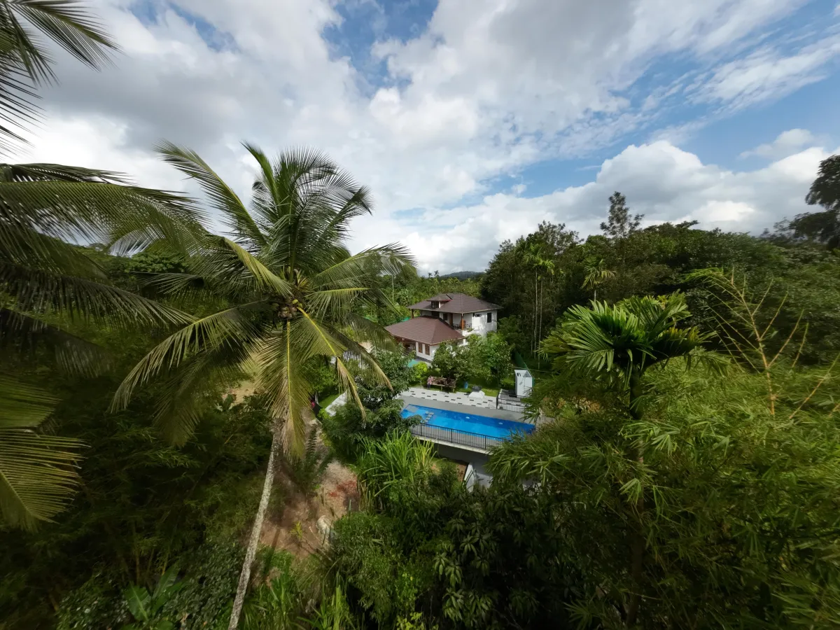 Bougainville Pool villa Kalpetta Wayanad