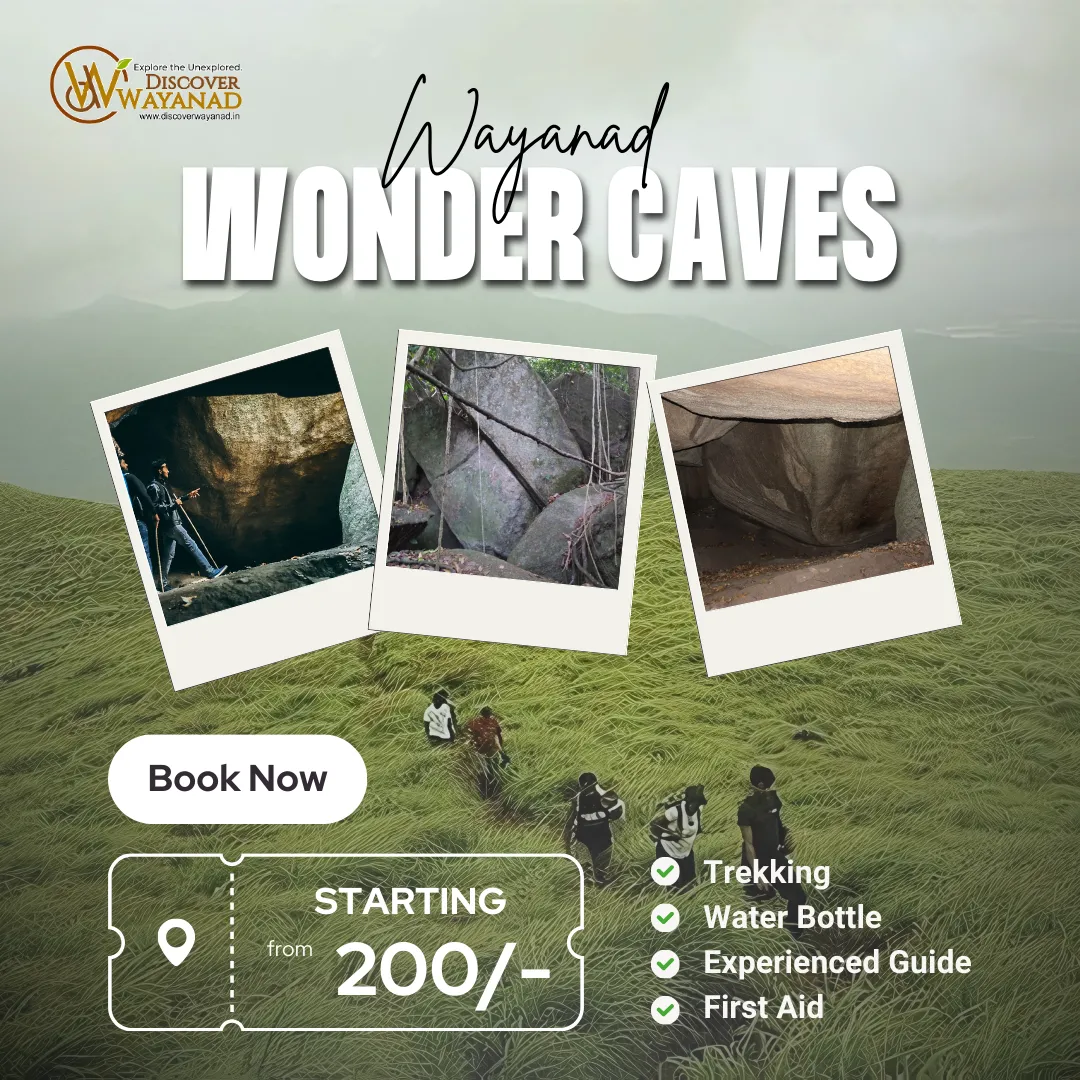  Wonder Caves Wayanad Package