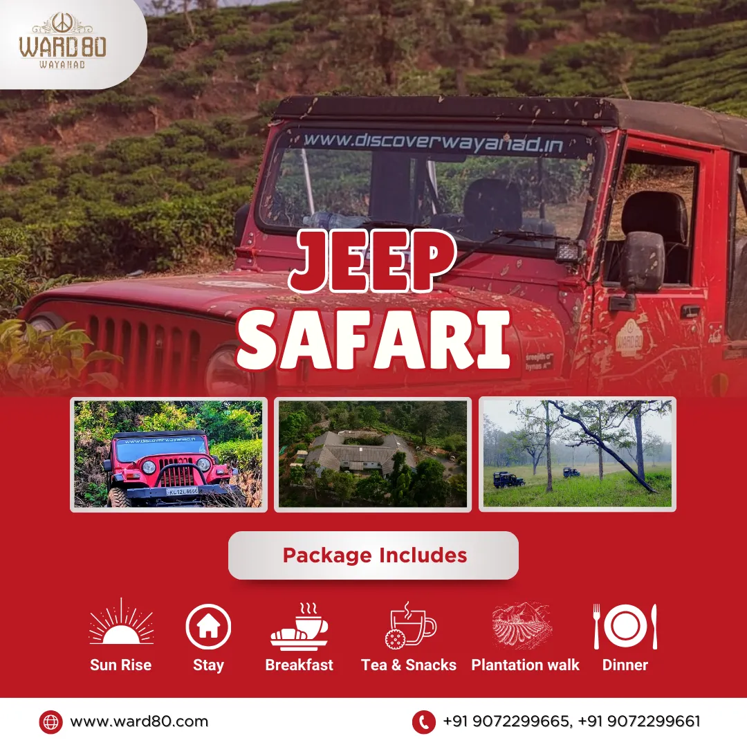 Jeep Safari Package