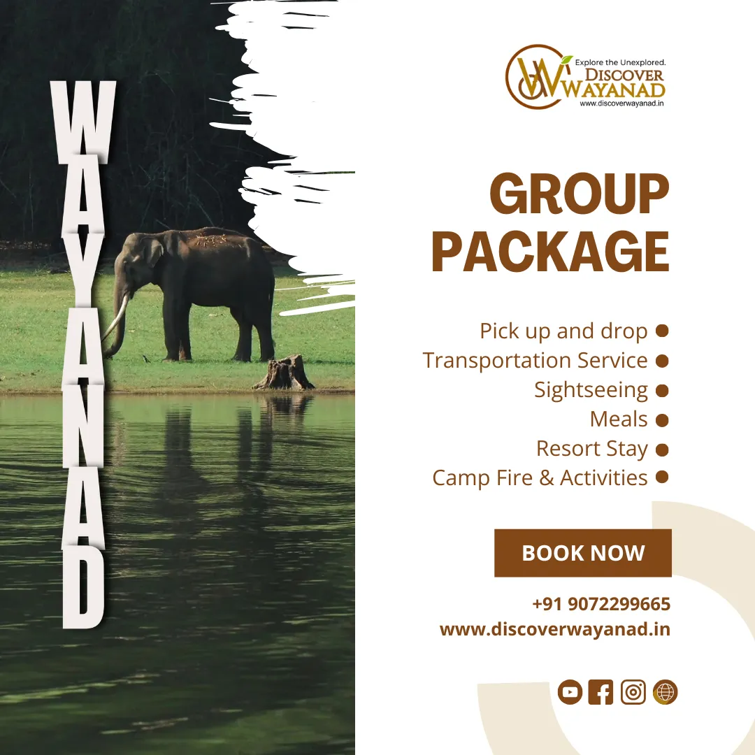 Group package wayanad