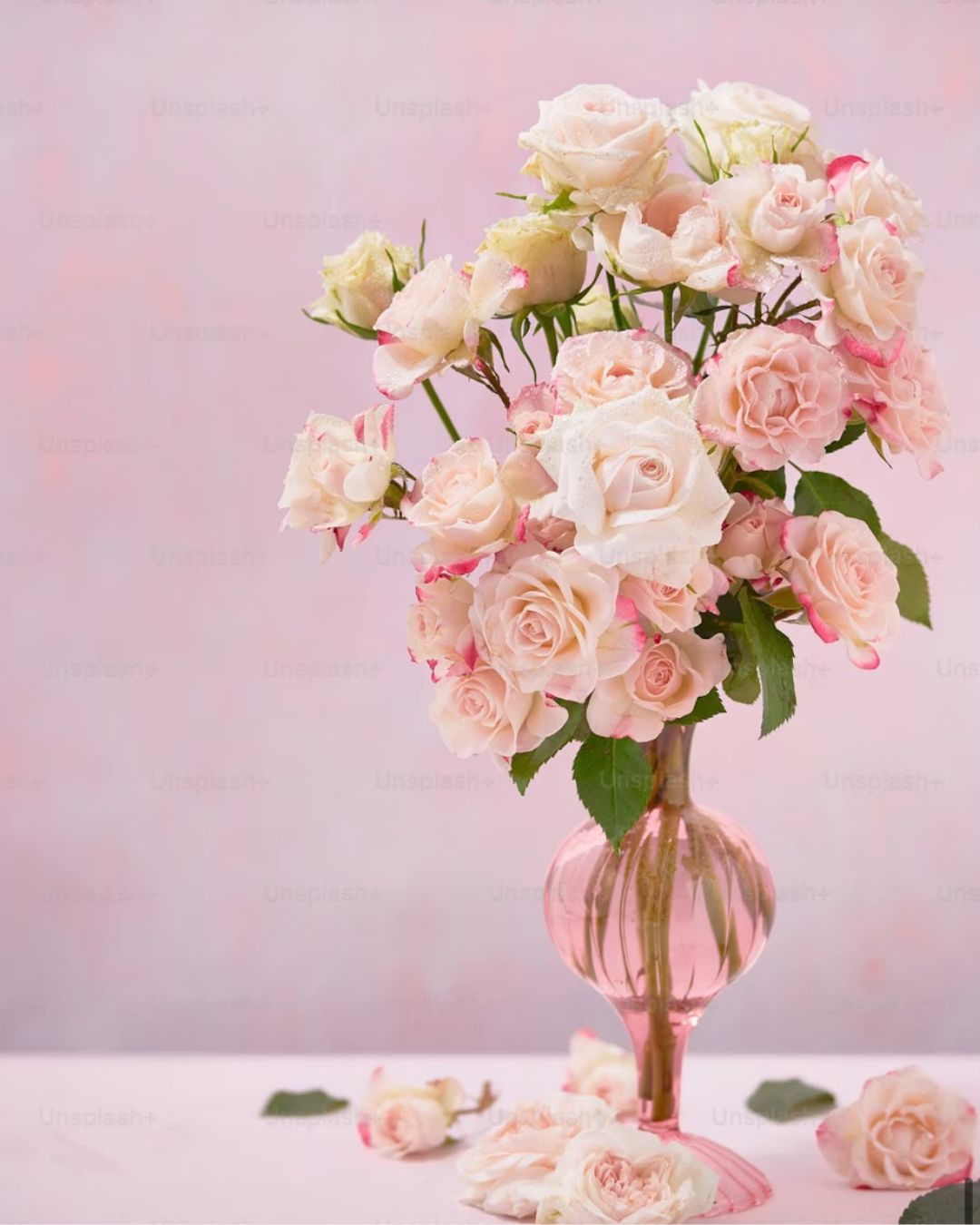 Decorative botanical illustration representing the Ivory Bloom Bar aesthetic