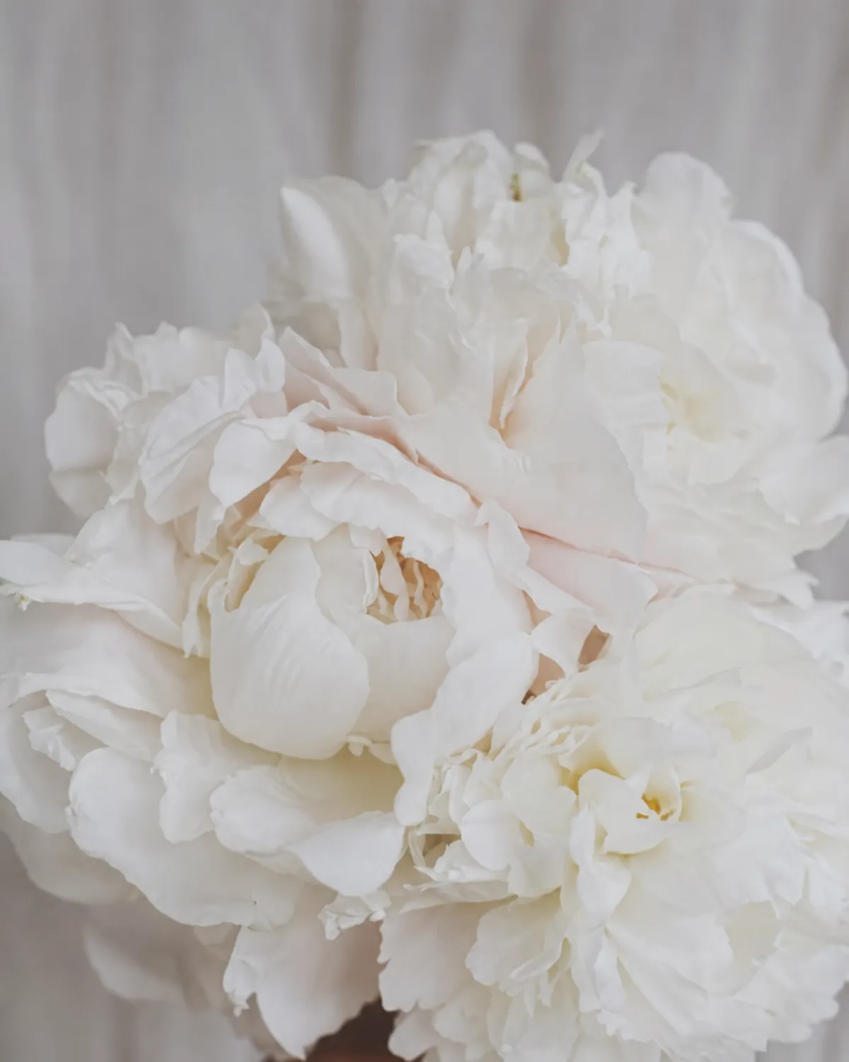 Elegant floral arrangement