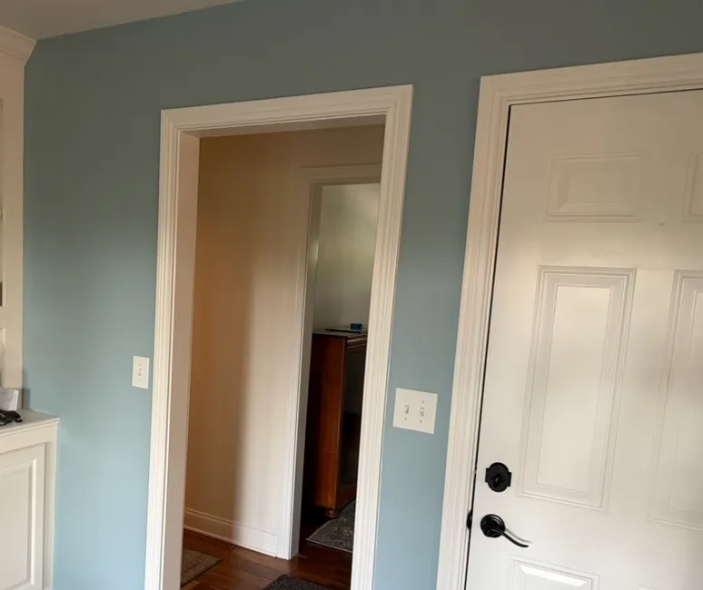 Light blue painted wall with white door trim and a white paneled door