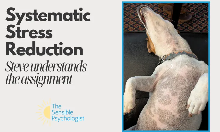 Systematic Stress Reduction: Steve understands the assignment