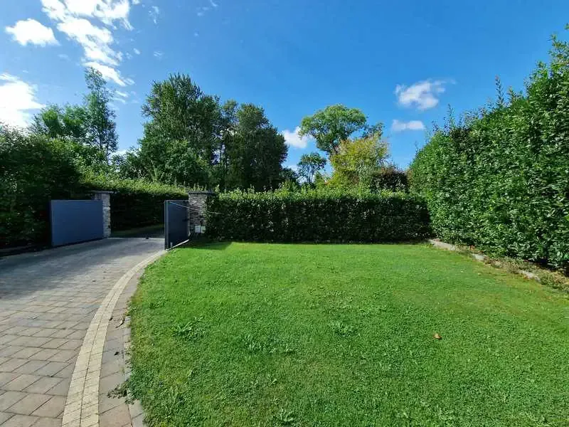 Garden Planting Design Dublin