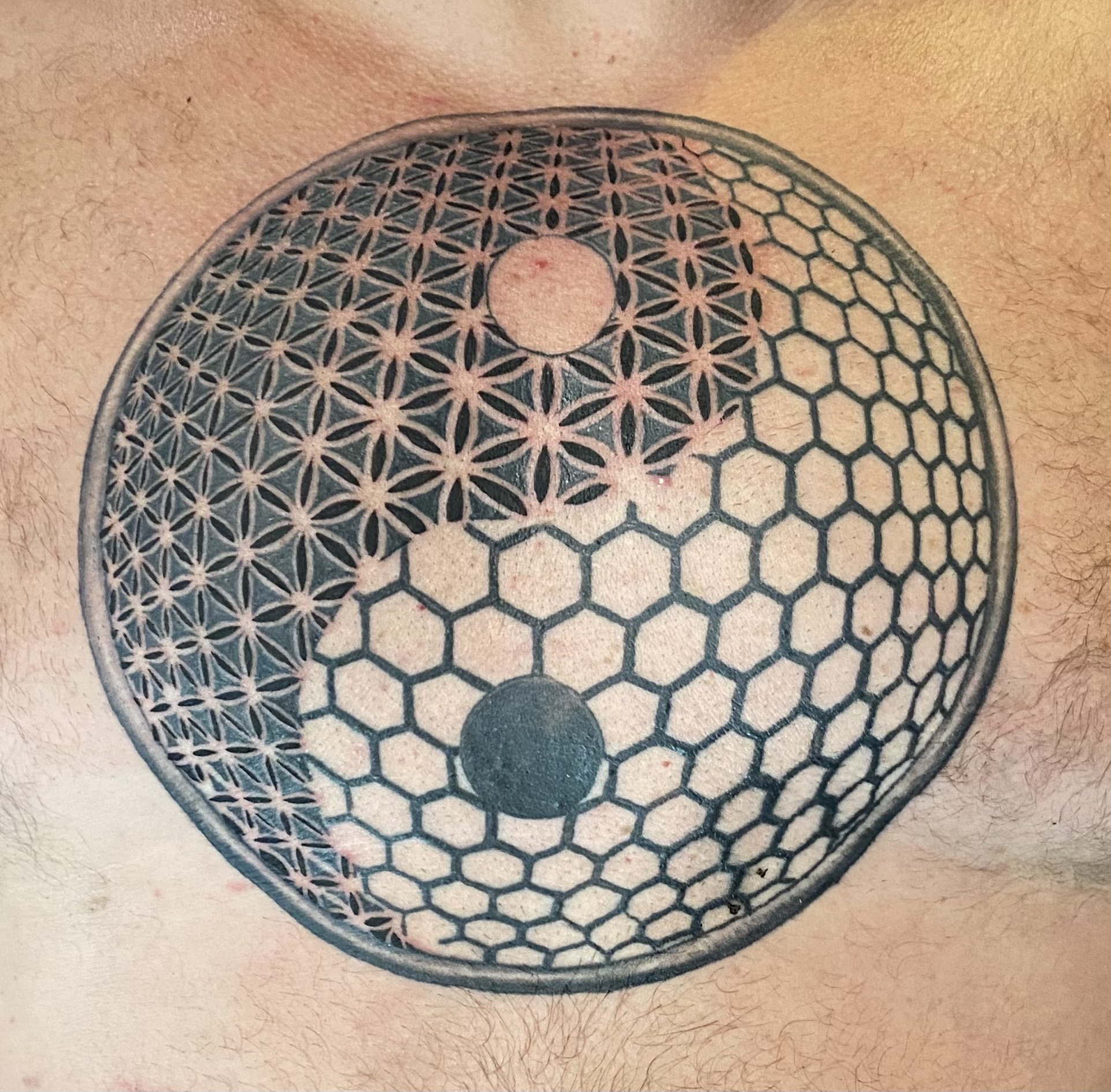 Minimalist linework tattoo of a botanical motif on a man's ankle, captured in a bright, airy space with a neutral backdrop. The style is clean and contemporary. 1:1 aspect ratio.