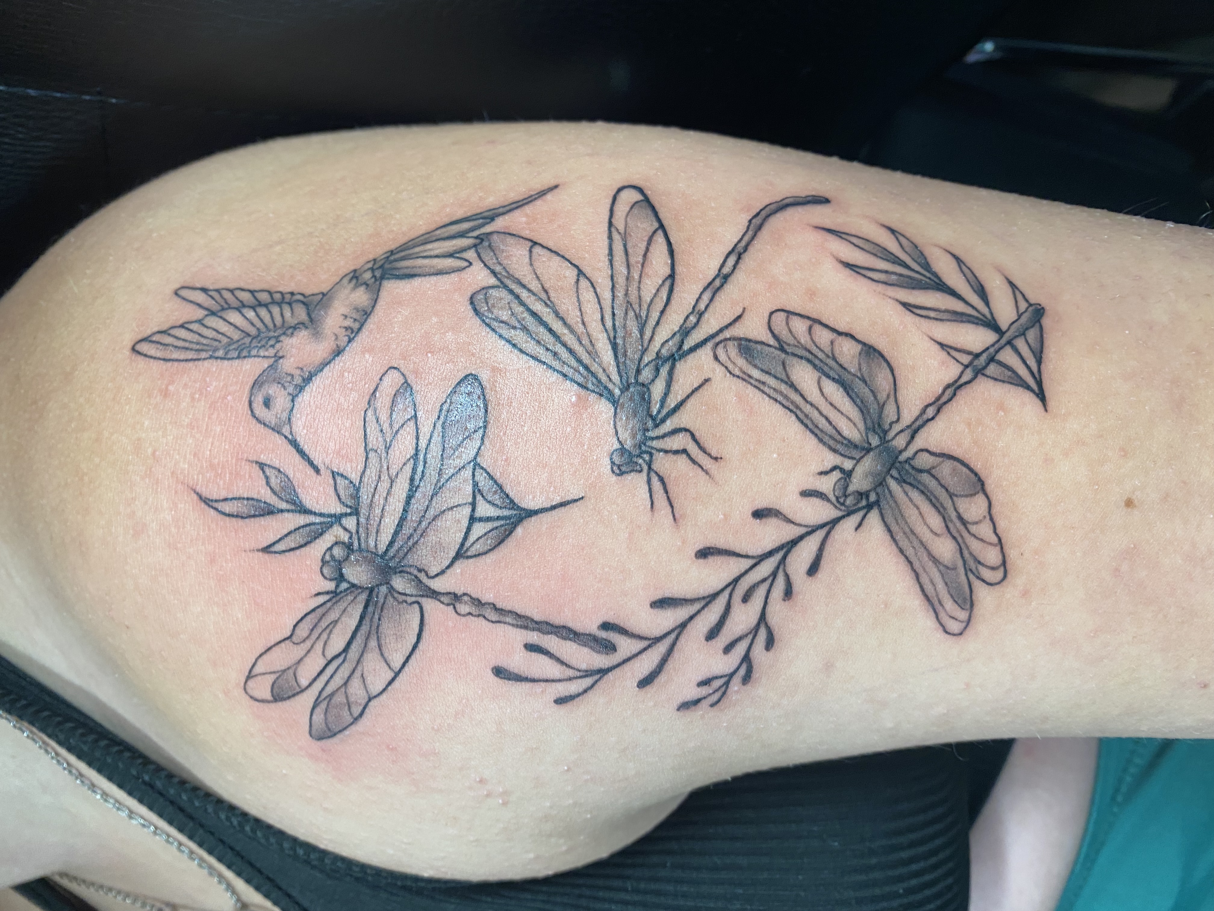 abstract tattoo butterfly hummingbird sage fineline black grey soft palet simple design shading floralt tattoo wings weeds tail feathers groundfeather 