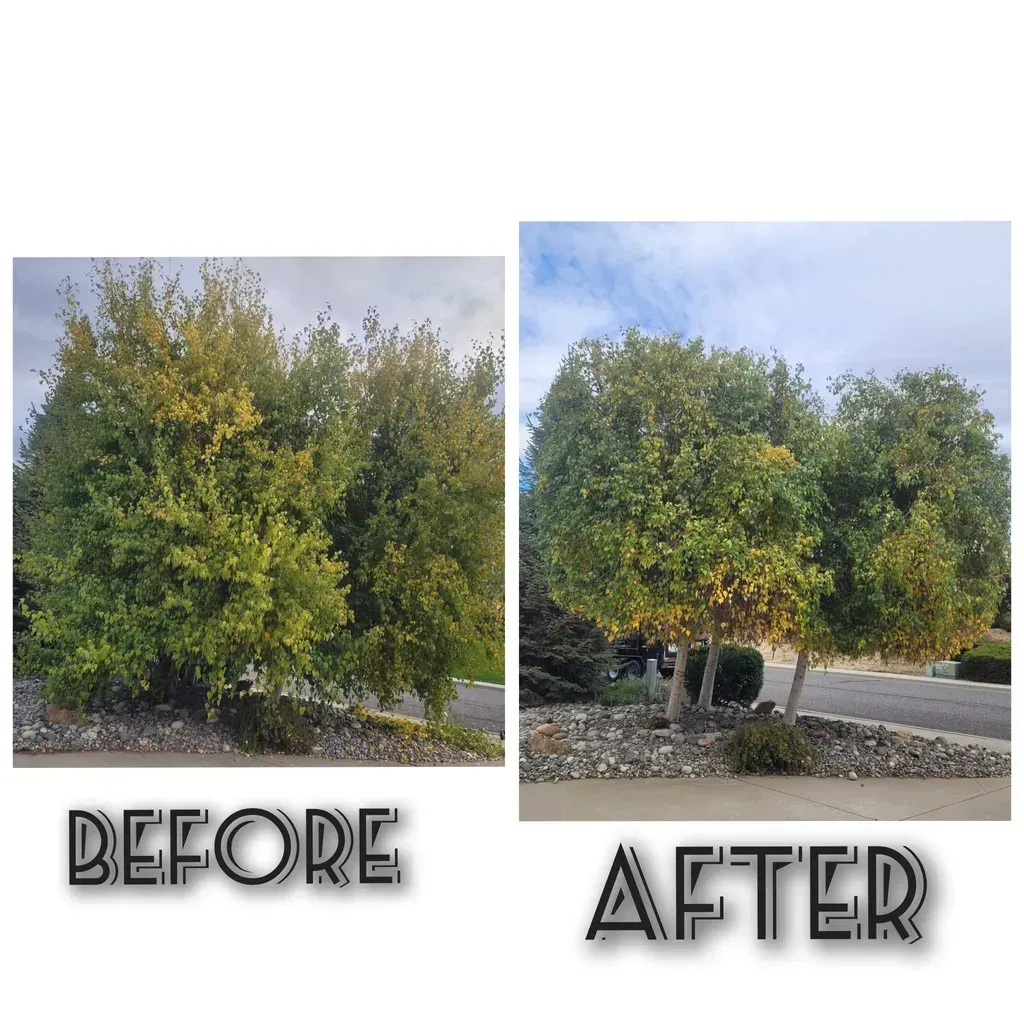 WJ Landscaping INC