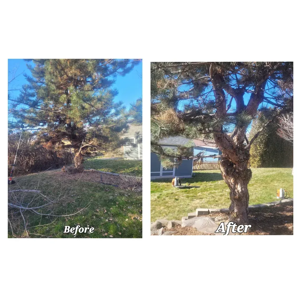 WJ Landscaping INC