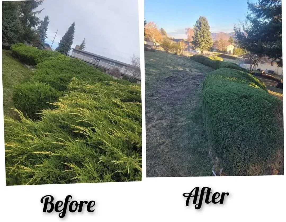 WJ Landscaping INC