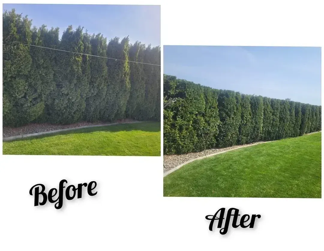 WJ Landscaping INC