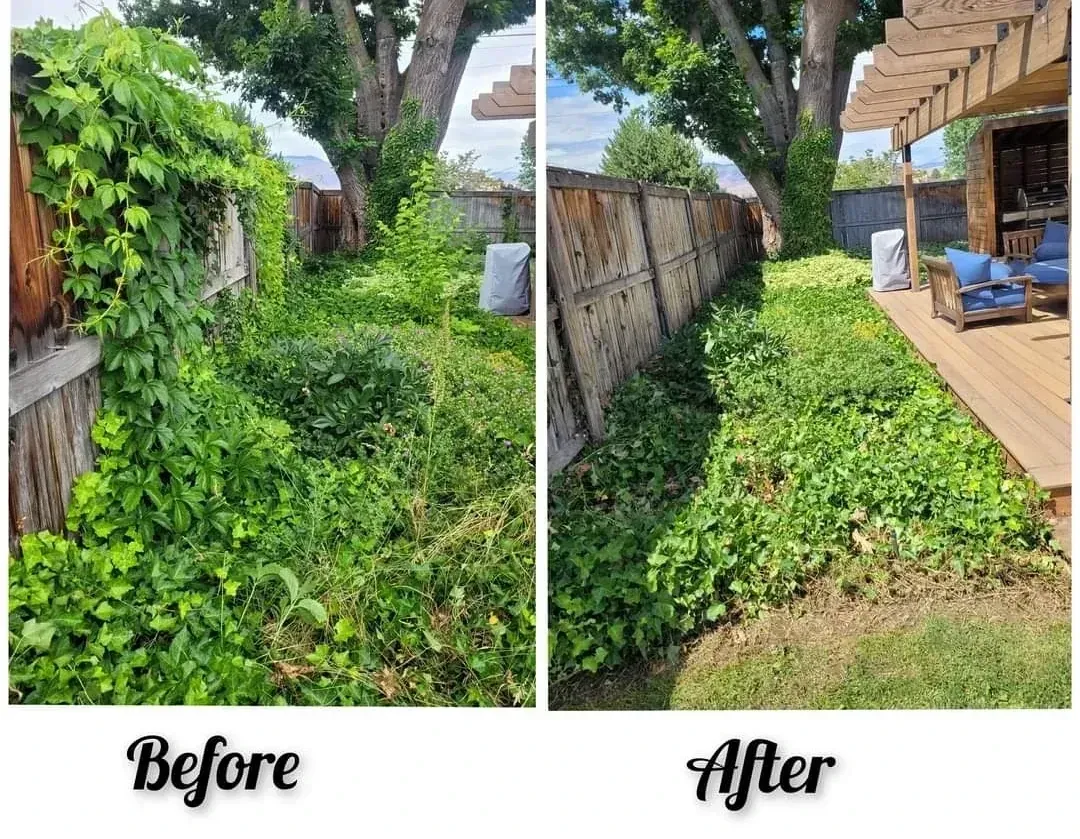 WJ Landscaping INC