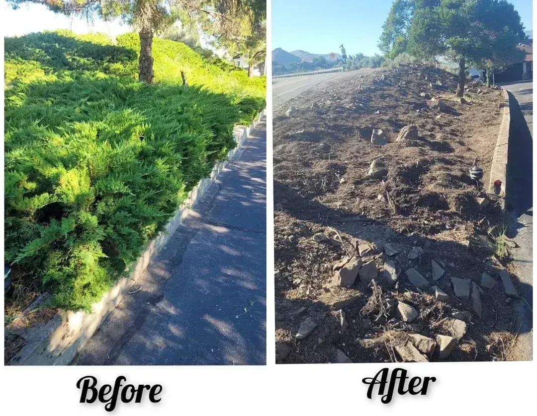 WJ Landscaping INC