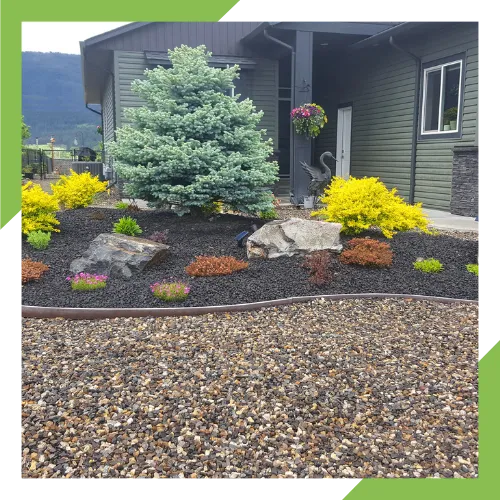Irrigation system installation and repair for a healthy green yard 