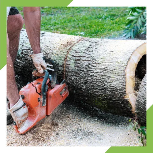 Tree removal service clearing a risky tree near a home in Entiat, WA