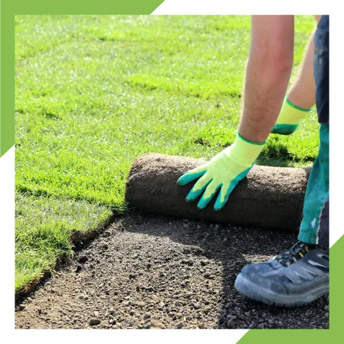 New sod installation for a clean Wenatchee lawn