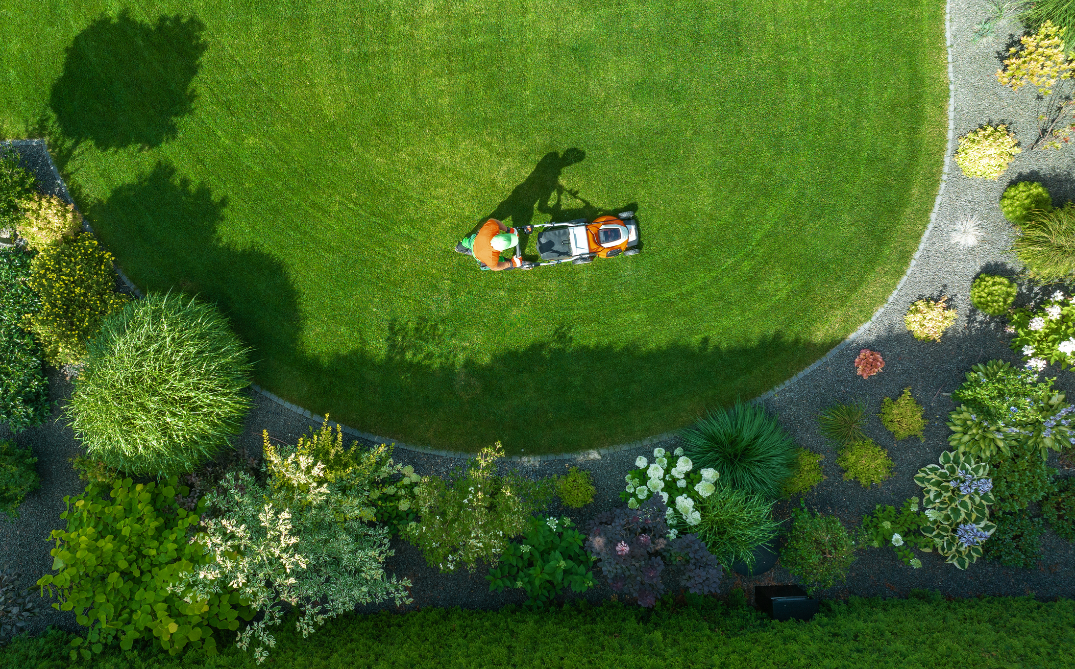 Lawn Maintenance