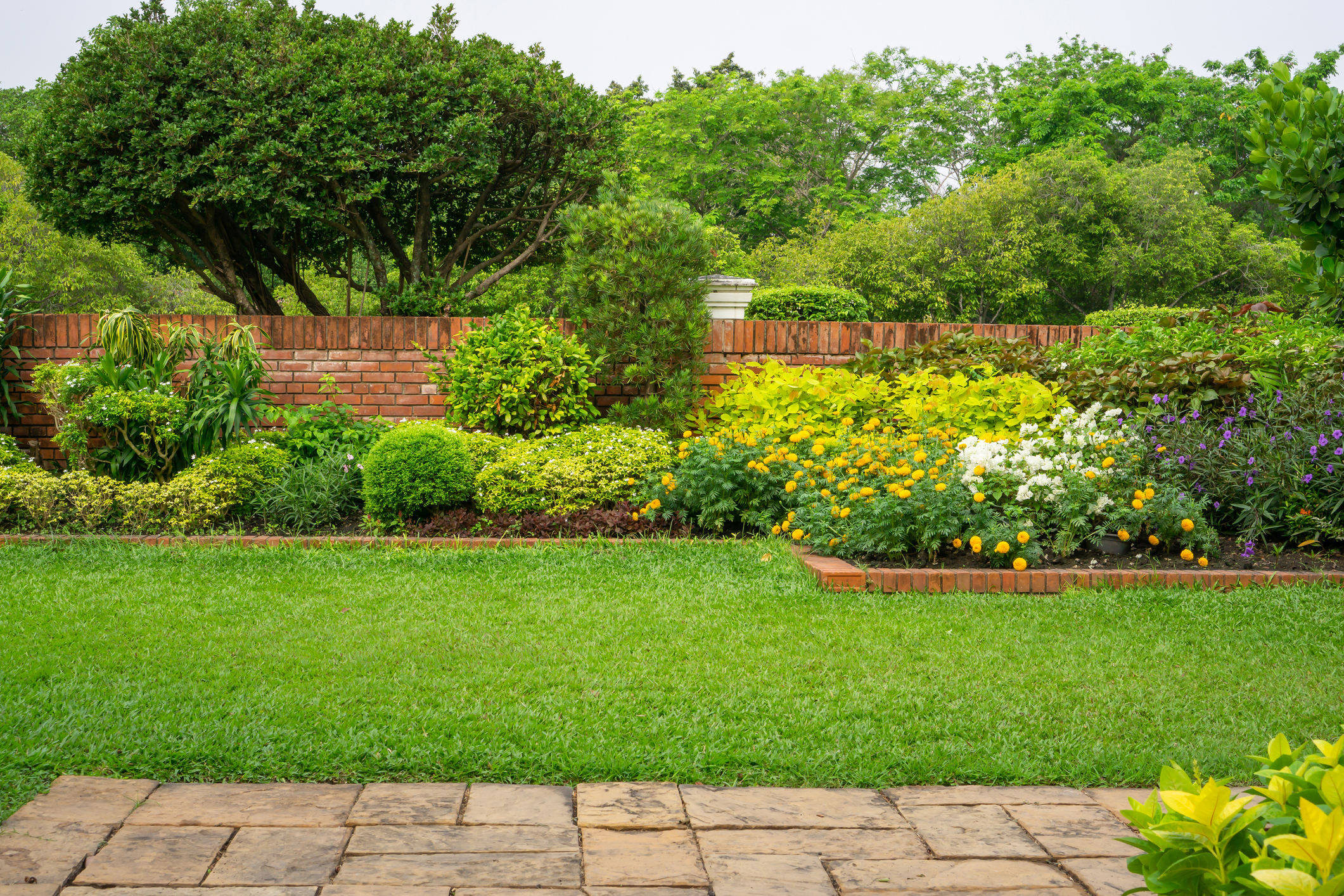 Yard Maintenance