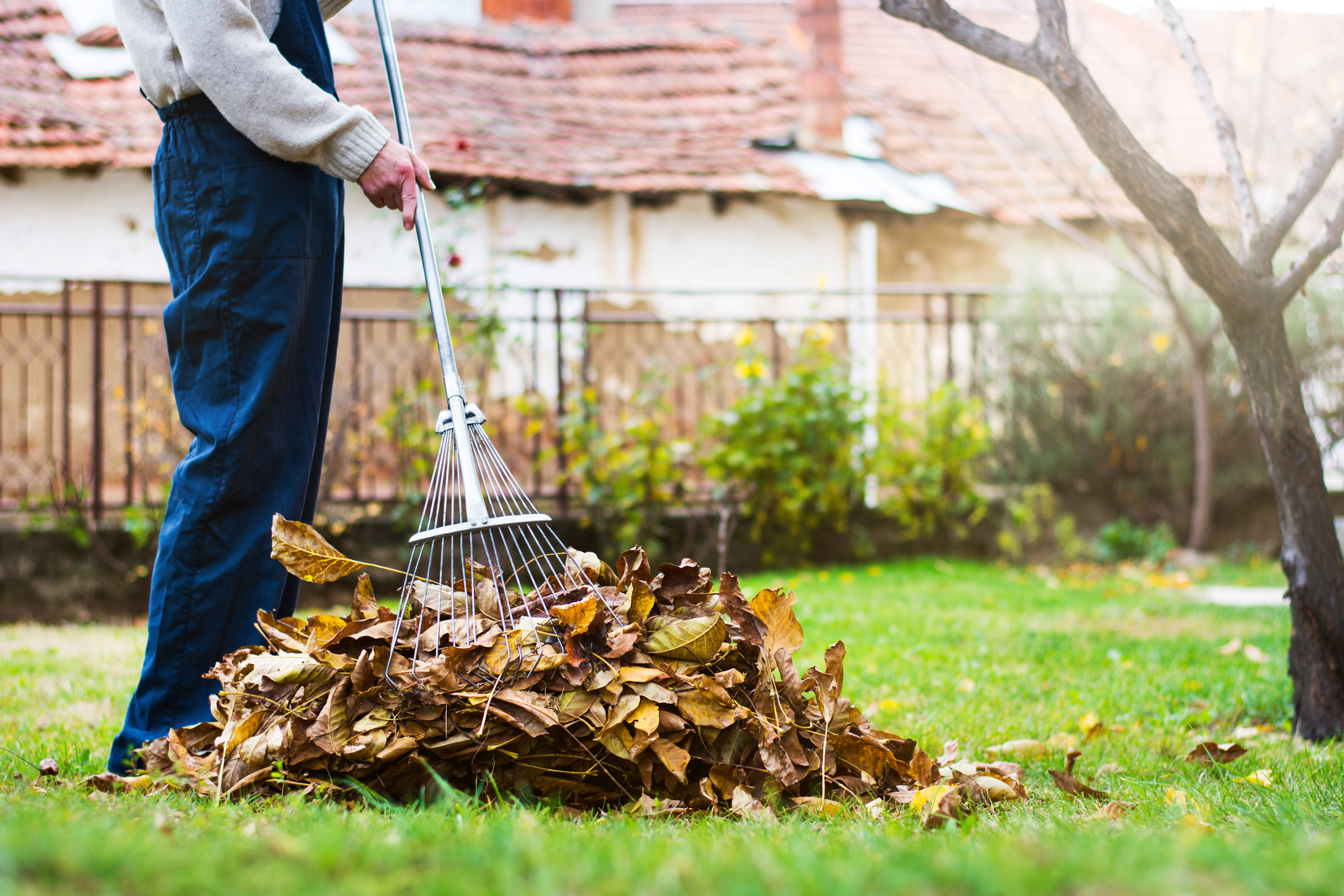 Seasonal Cleaning