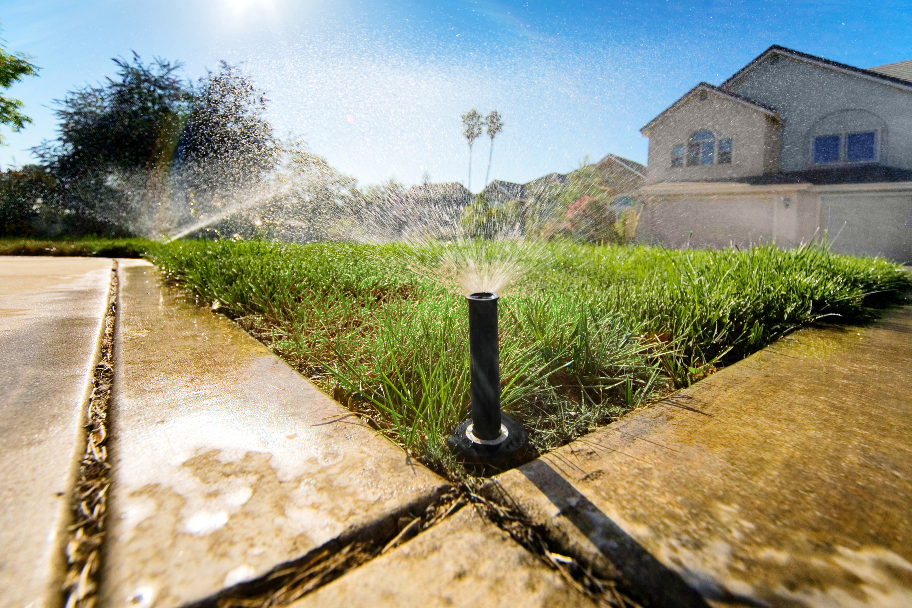 Irrigation System Installation & Repair