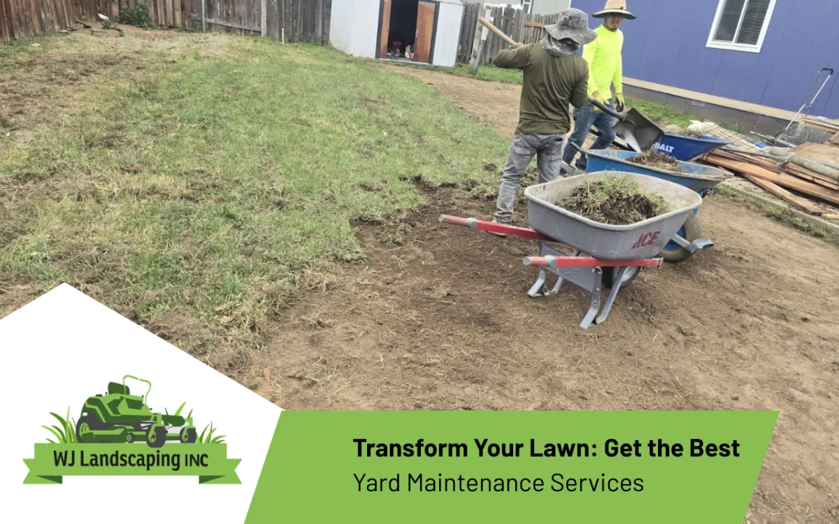 Yard Maintenance Services for Healthier Seasonal Lawns