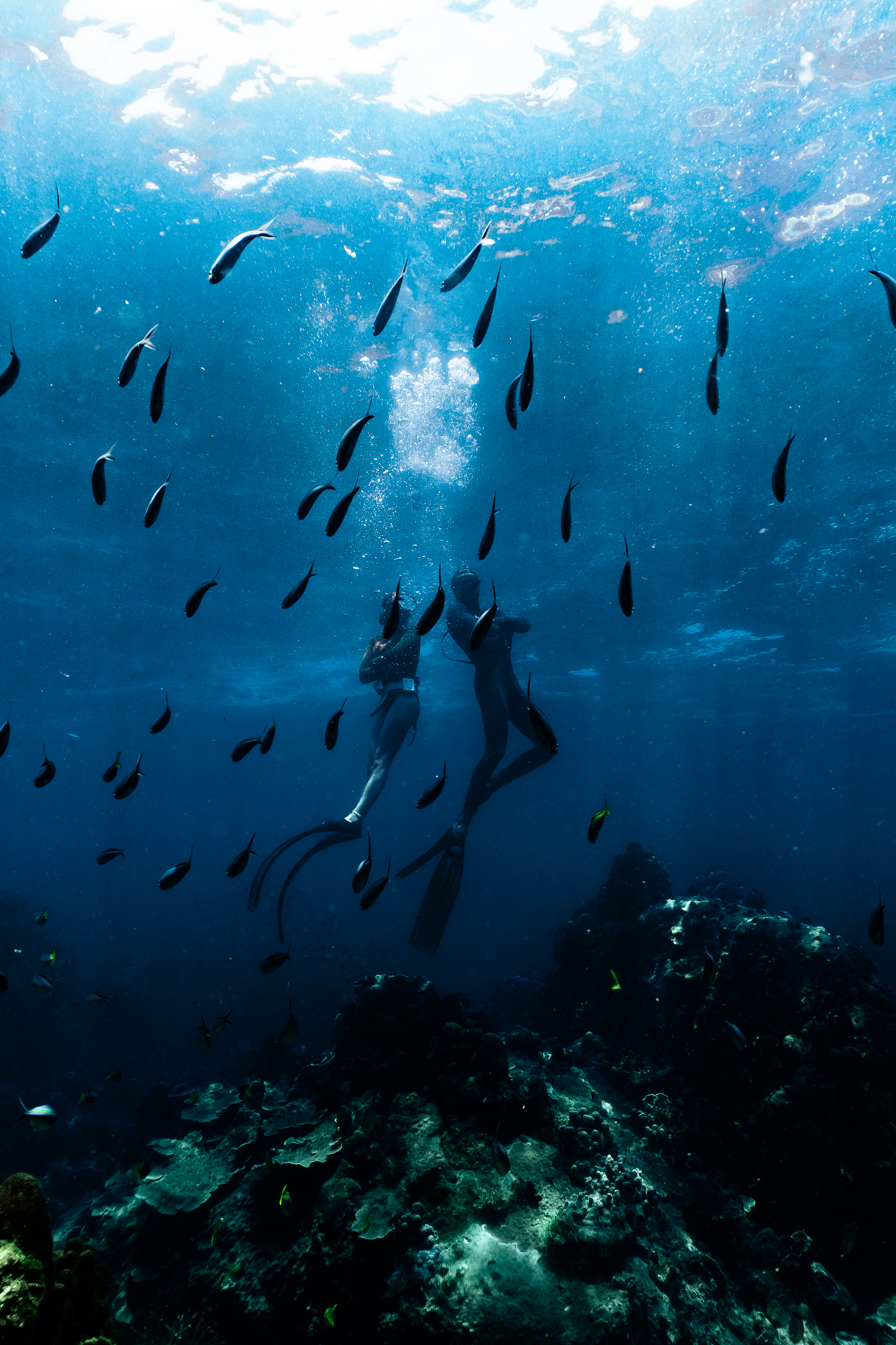 Video of a campervan rental demo AI chatbot on demo site