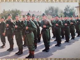 Fake It Till They Write Your Name on the Electrical Panel