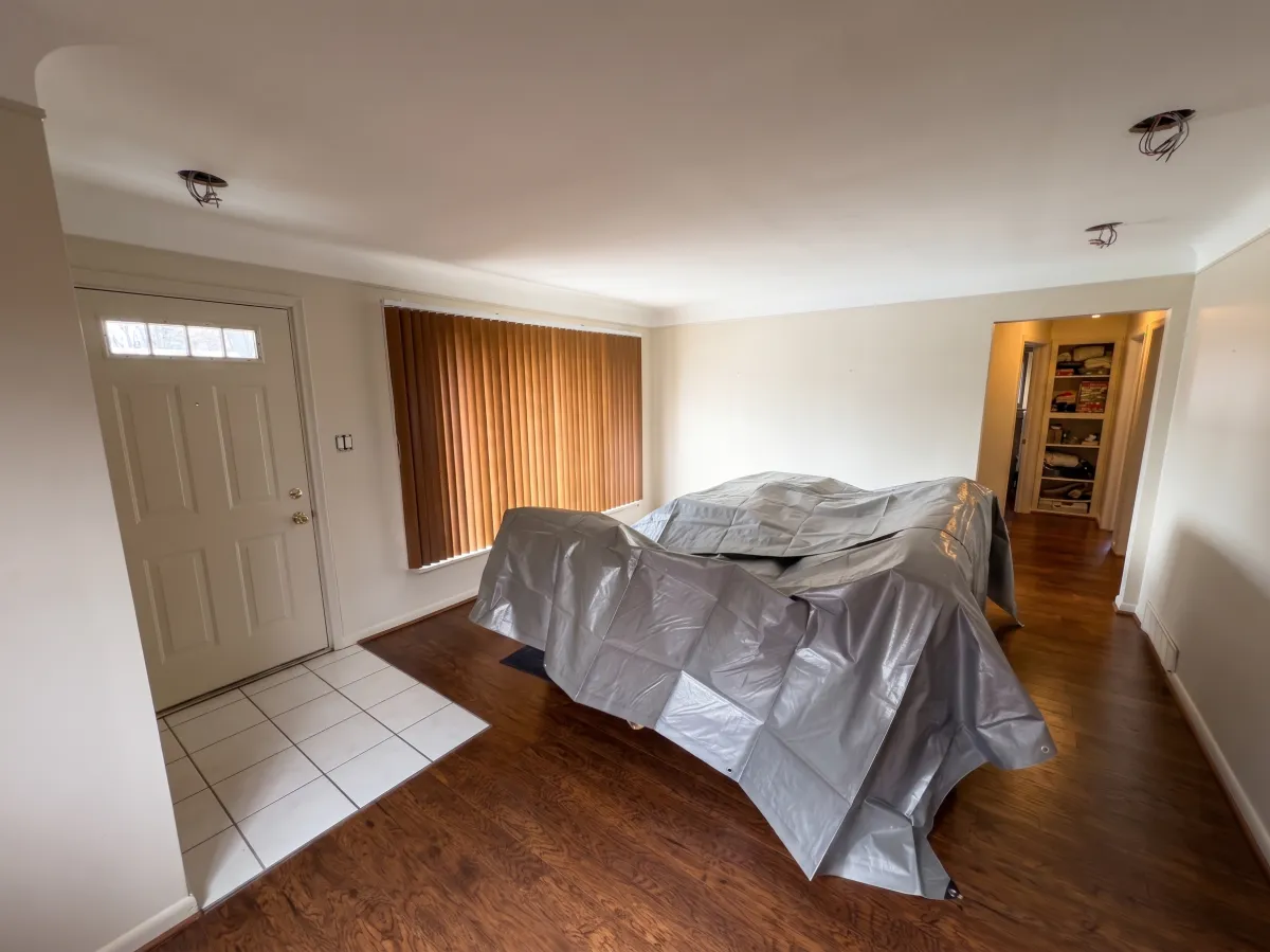 Troy Staining