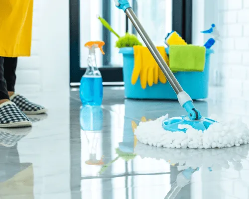 Standard Cleaning in Indio