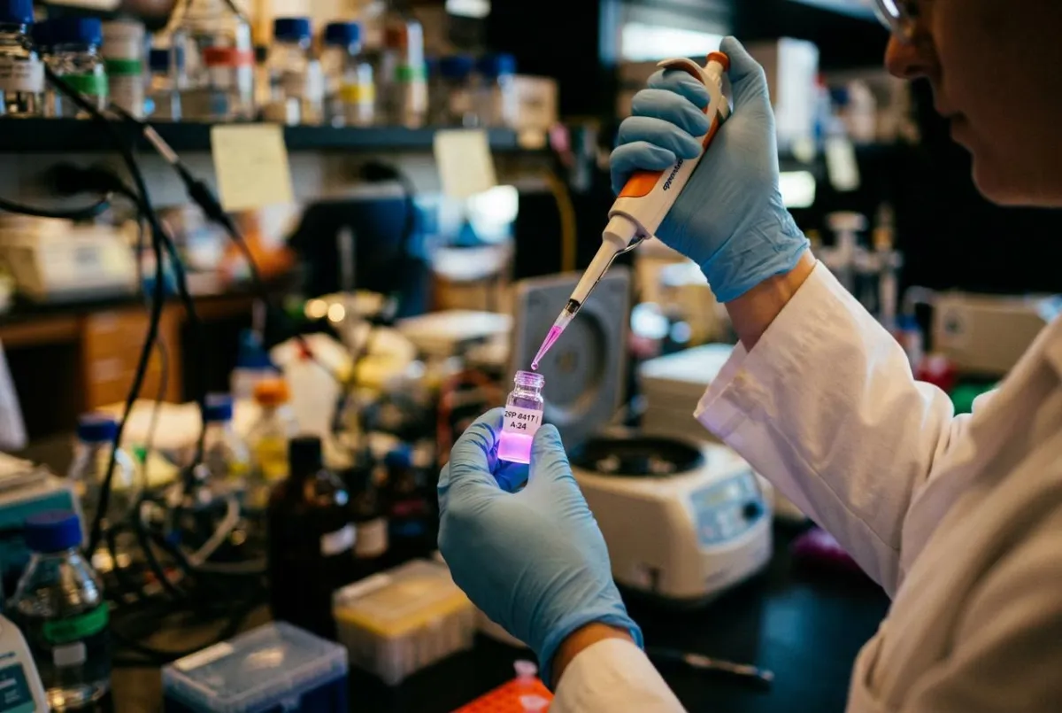 Gut Health and Mental Health: What the Research Actually Says