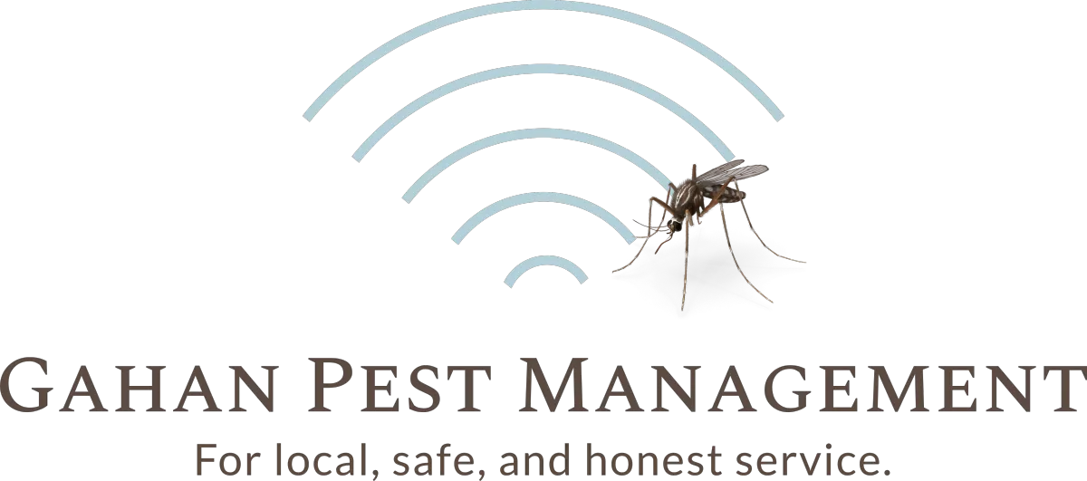 gahan pest management