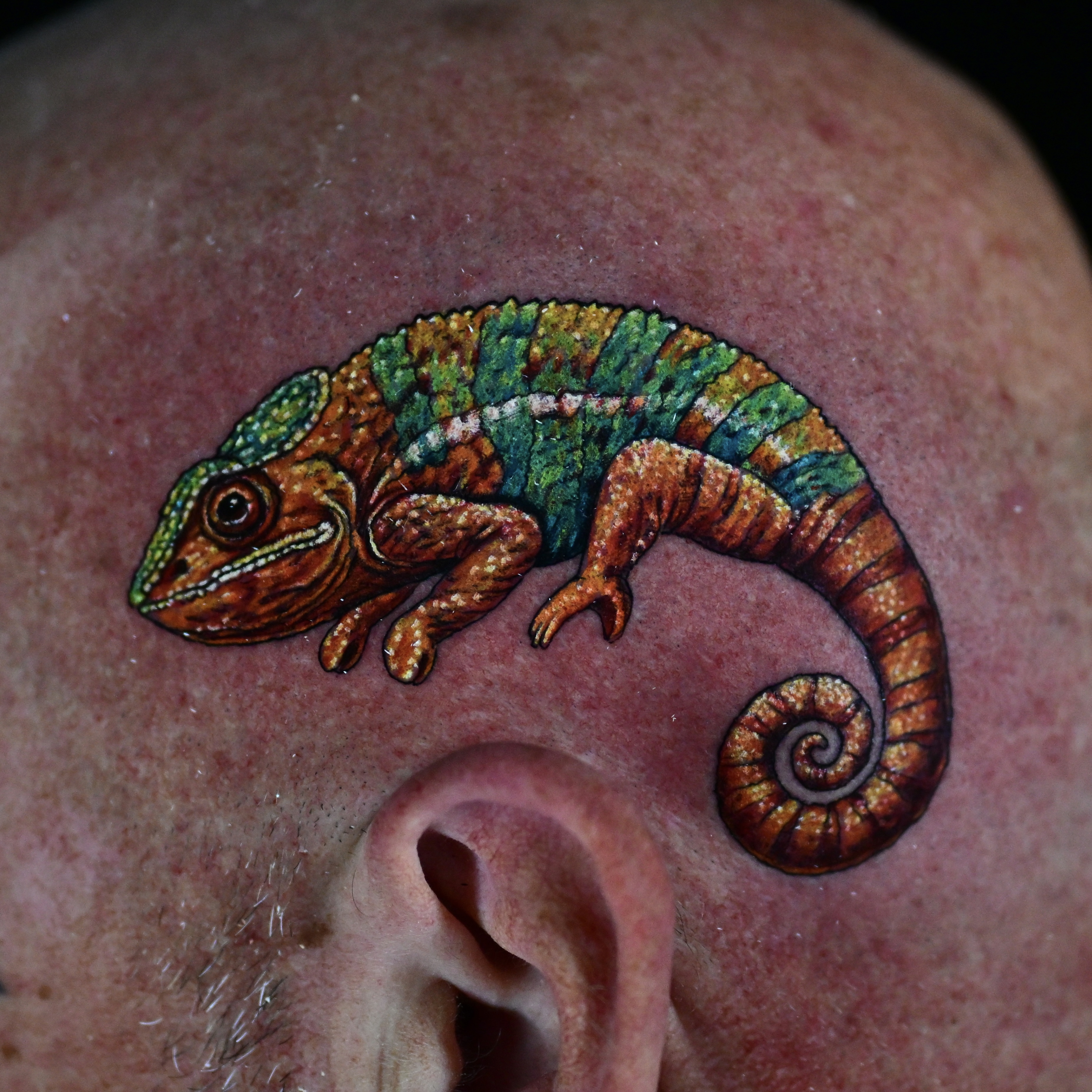 Chameleon
