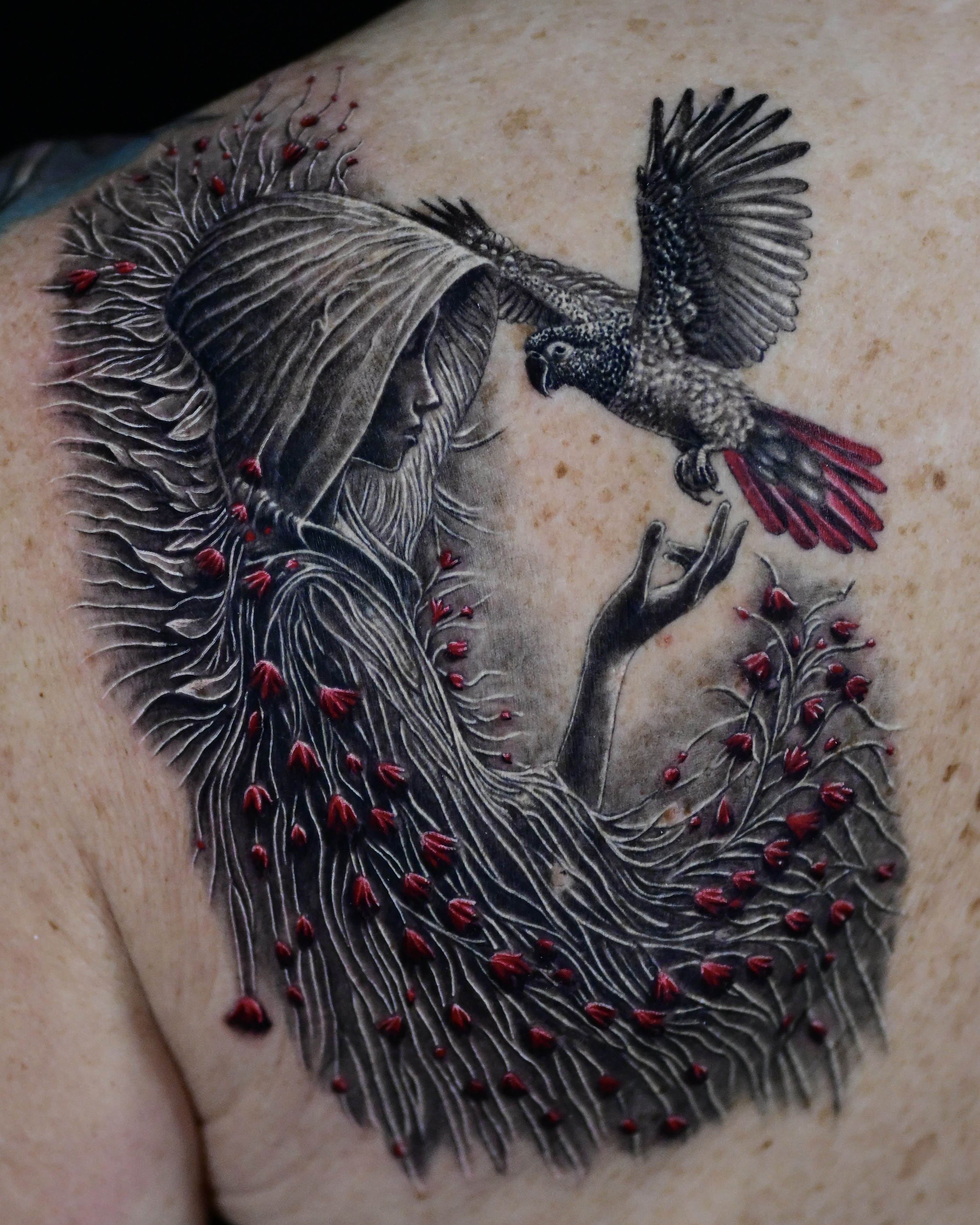 Woman and African Grey