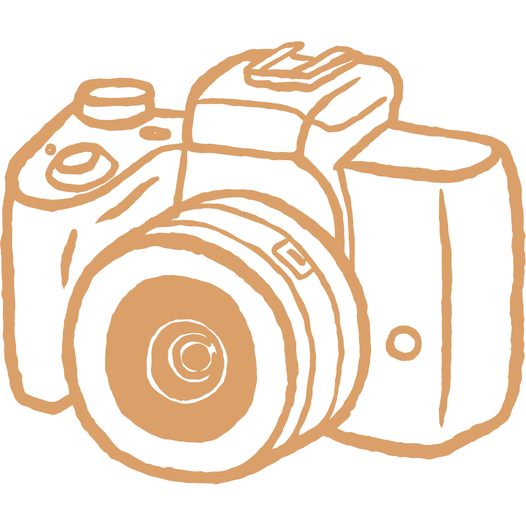 Field Investigation, Surveillance & Data Development icon