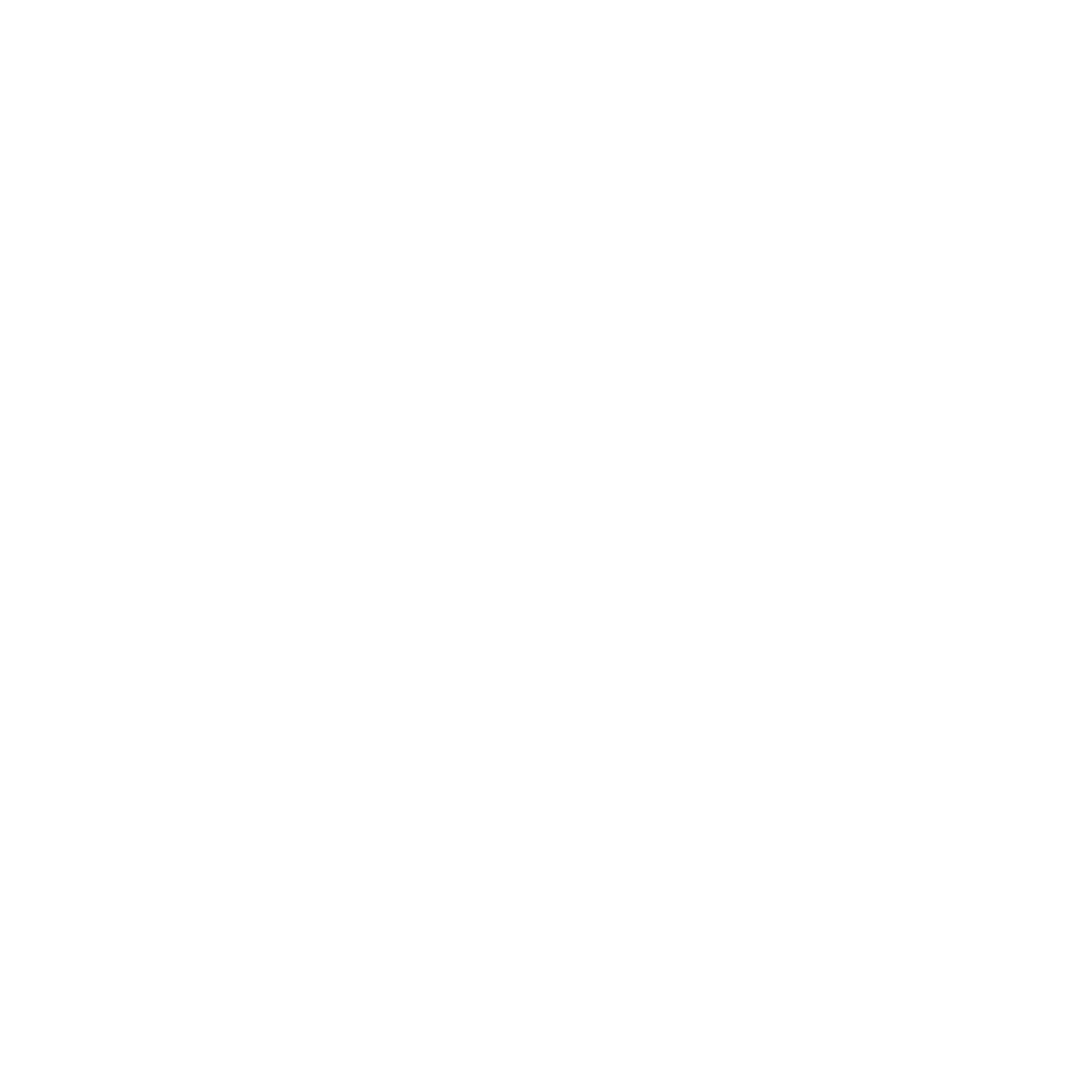 Initial Intelligence Review & Case Planning icon